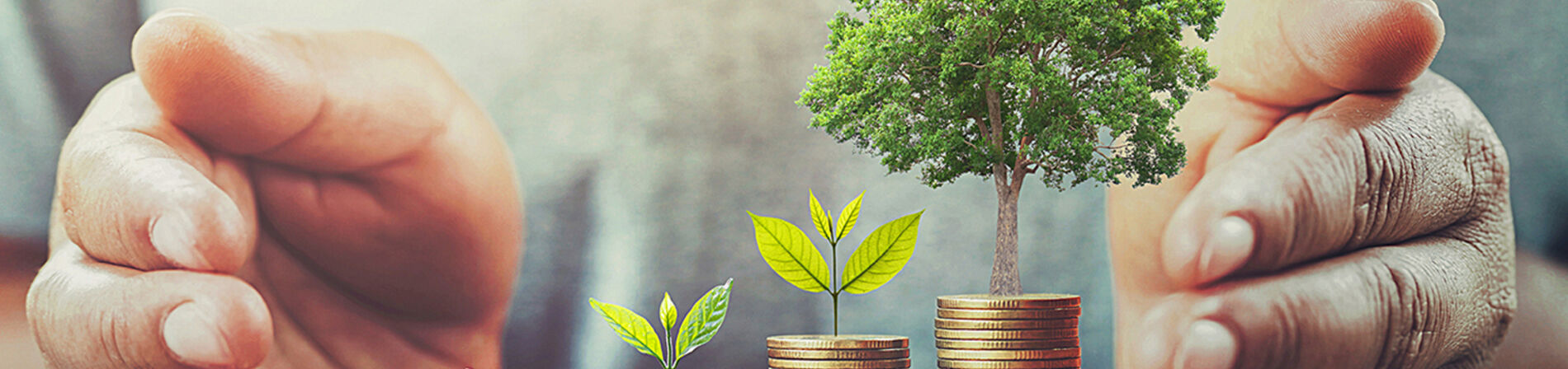 Les marchés globaux de performance énergétique à paiement différé 