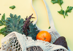 FORUM DE LA TRANSITION ALIMENTAIRE