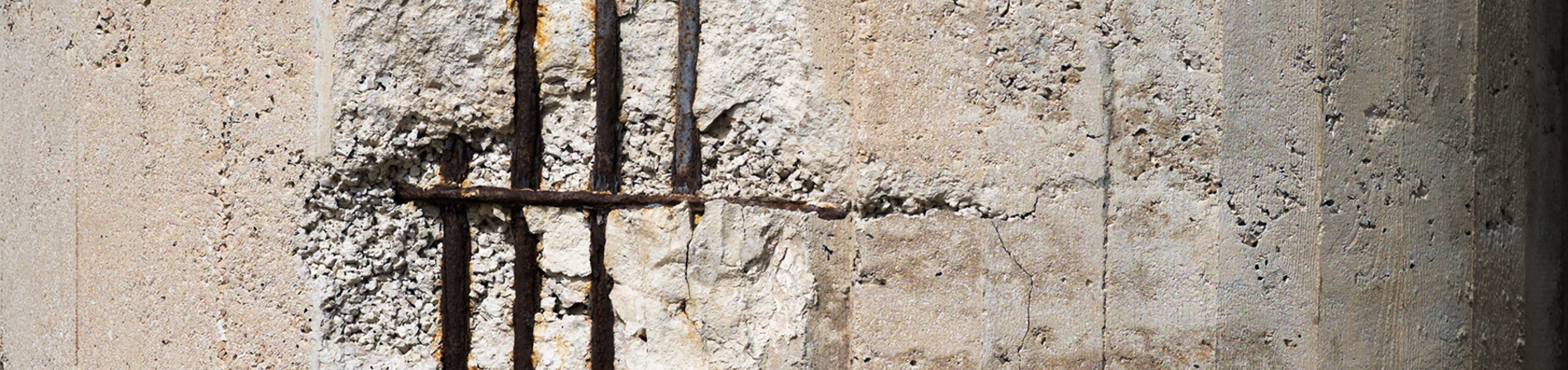 Prévenir et traiter les pathologies du bâtiment