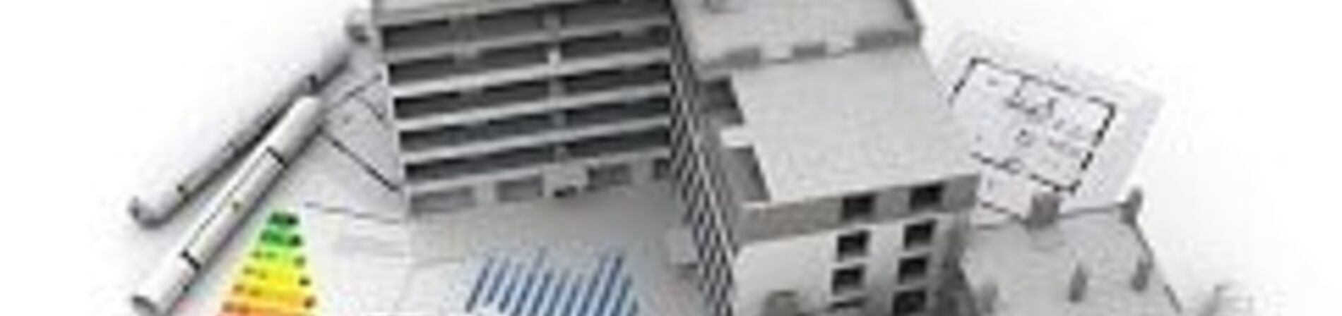 Projet Urbain Partenarial (PUP)