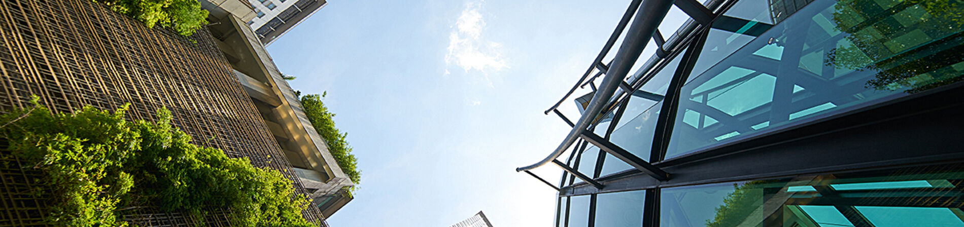 Nouvelles Techniques Constructives, soutenabilité et circularité